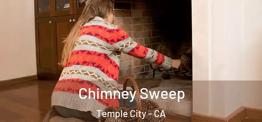  Chimney Sweep Temple City - CA
