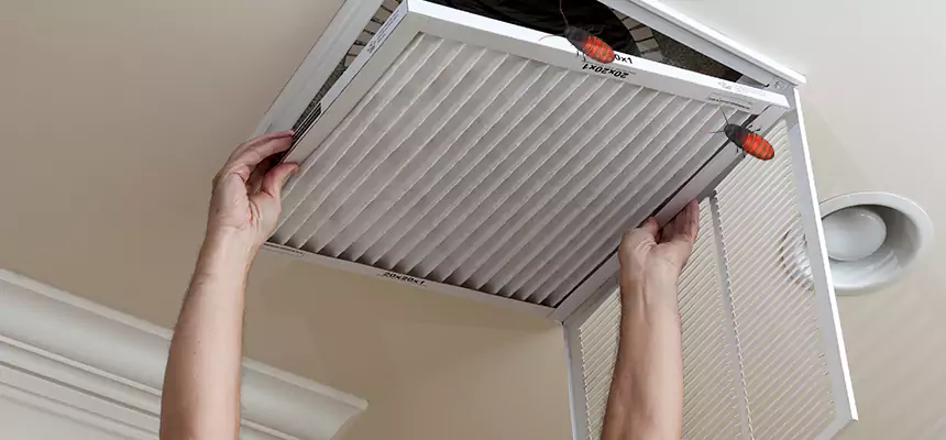 Preventive Cockroach-Proofing for Ducts in Temple City