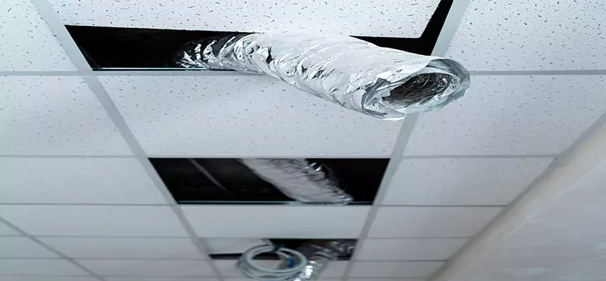 Our Air Duct Pet Hair Removal Services in Temple City, CA