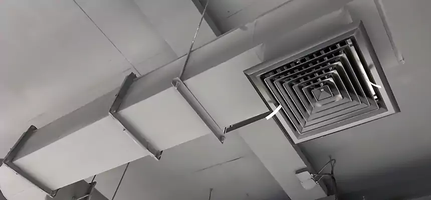 Our Pest Removal From Ducts Services in Temple City, CA