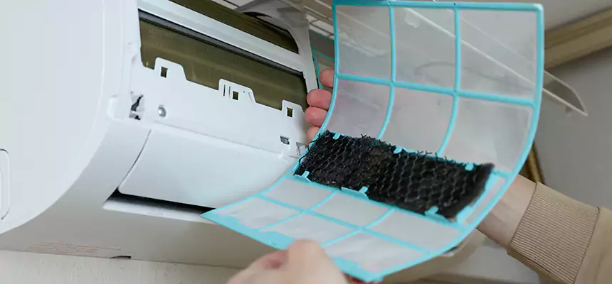 Gentle Ductwork Odor-Control Pet Dander Duct Cleaning in Temple City, CA