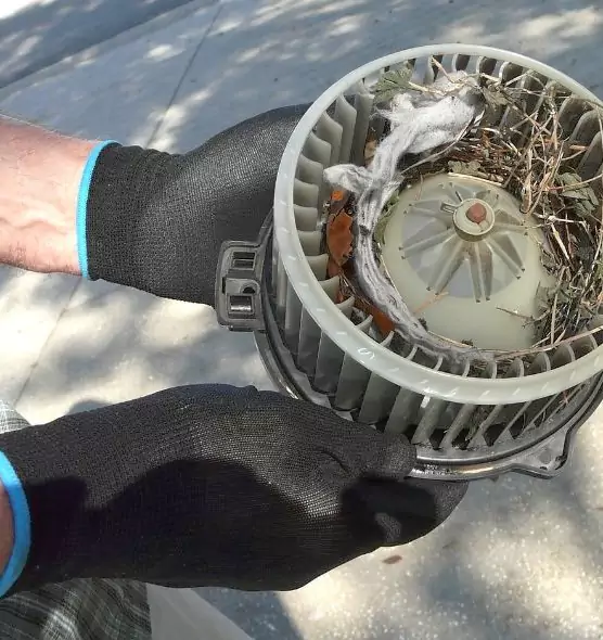 About Air Duct Mice Removal in Temple City, CA