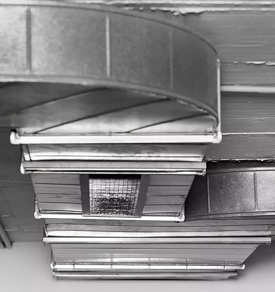 Professional Air Duct Pest Removal in Temple City, CA