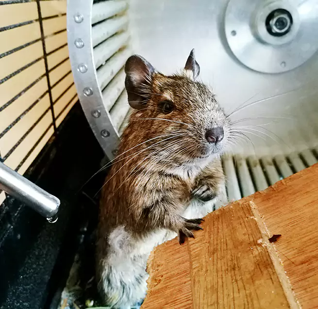 Why Homeowners & Businesses Trust Us Temple City, CA?