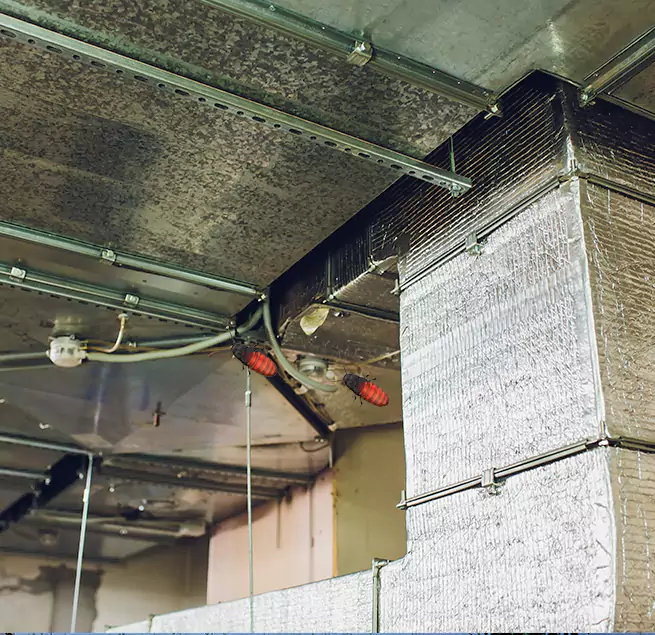 Why Homeowners & Businesses Trust Us Temple City, CA?